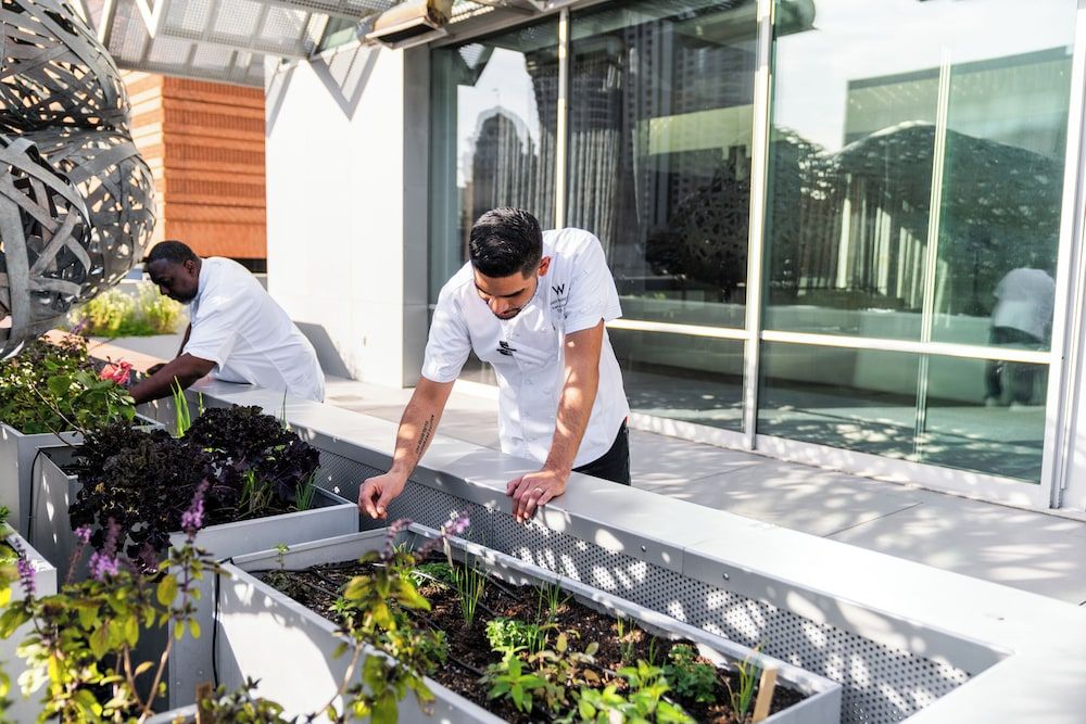 undefined W San Francisco 9