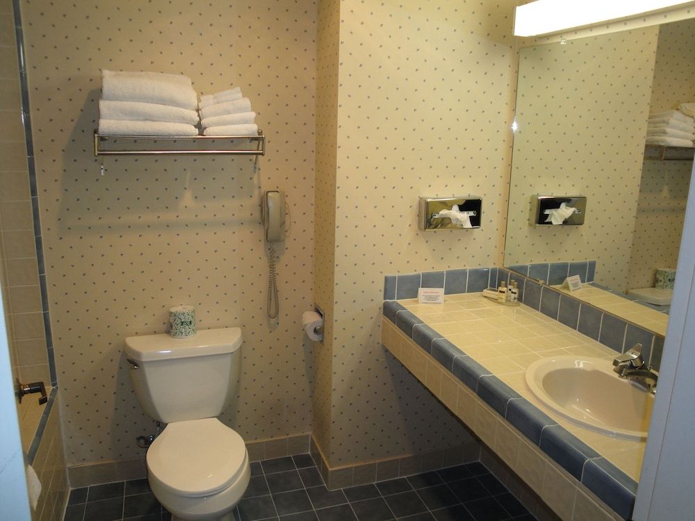 Clarion Inn Silicon Valley Room, 1 King Bed, Accessible, Non Smoking 6