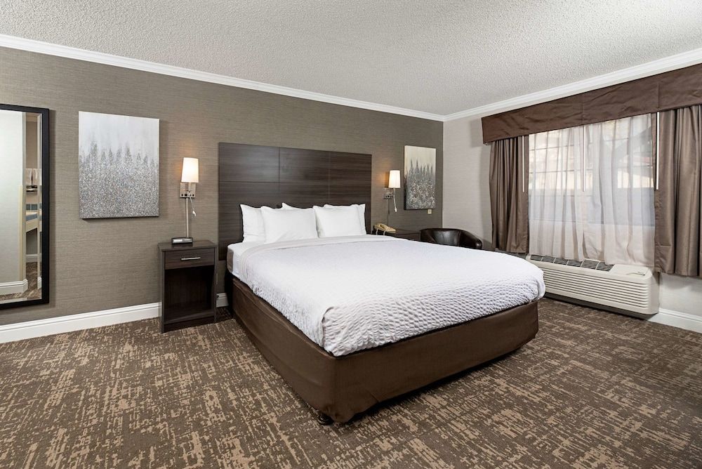 Clarion Inn Silicon Valley Room, 1 King Bed, Accessible, Non Smoking