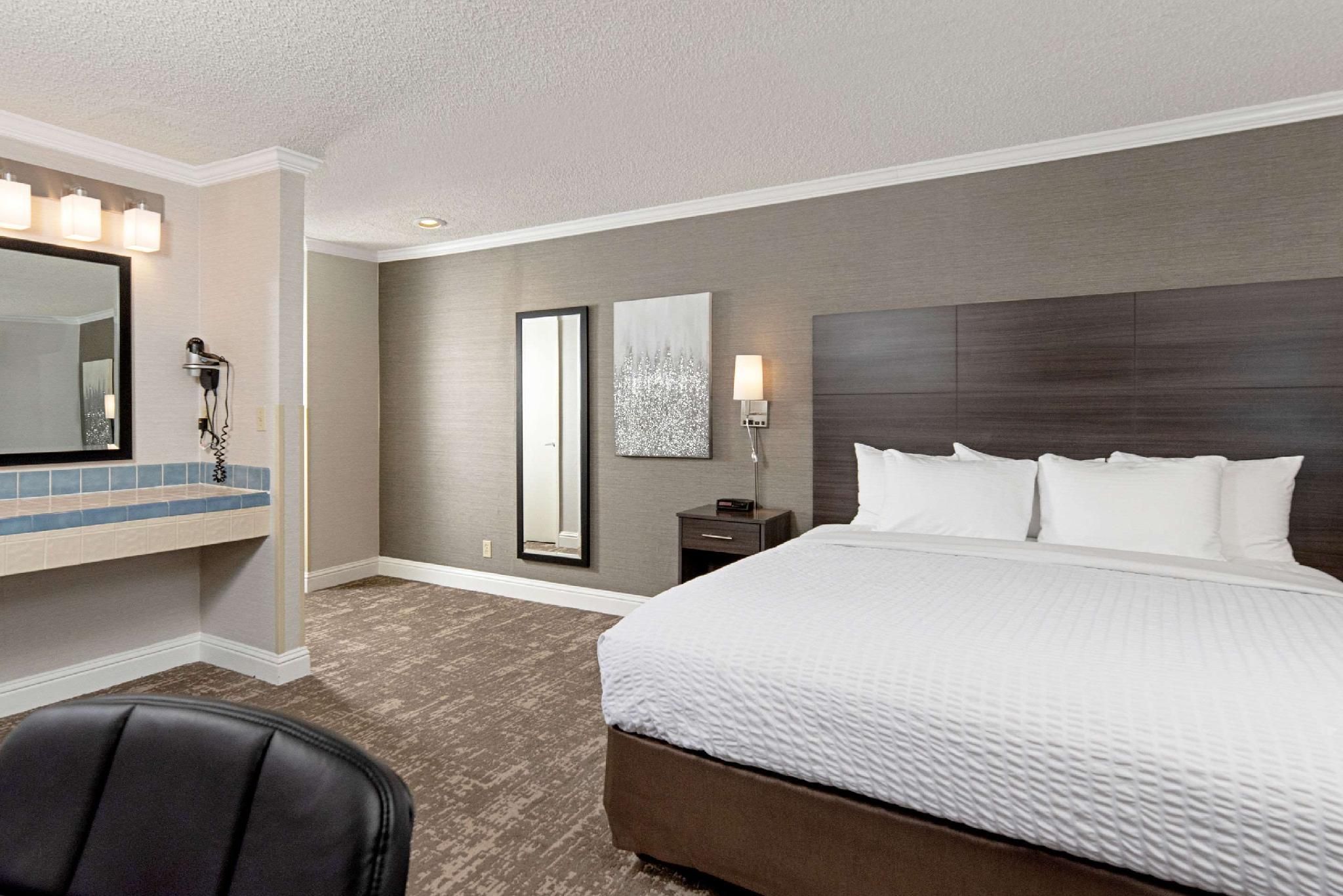 1 King Bed, Nonsmoking, Accessible