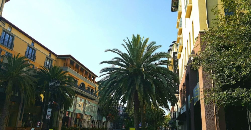 undefined Hotel Valencia Santana Row 7