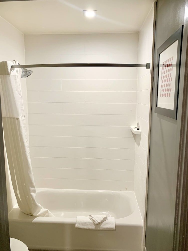 Pacific Motor Inn Standard Room, 2 Queen Beds, Non Smoking 7
