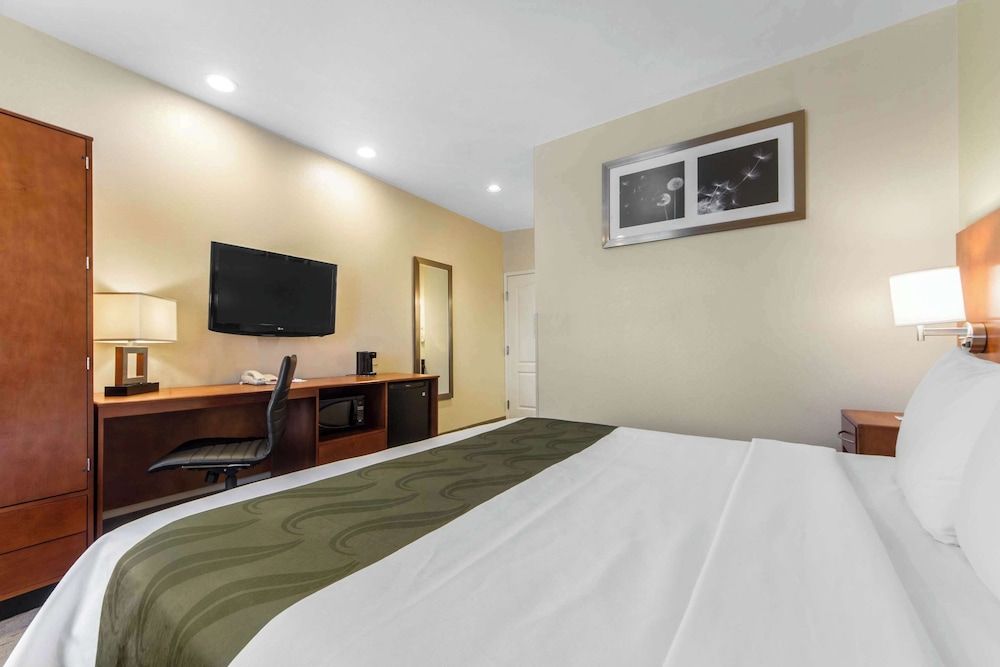 Quality Inn San Jose Airport/Silicon Valley Room, 1 King Bed, Non Smoking 3