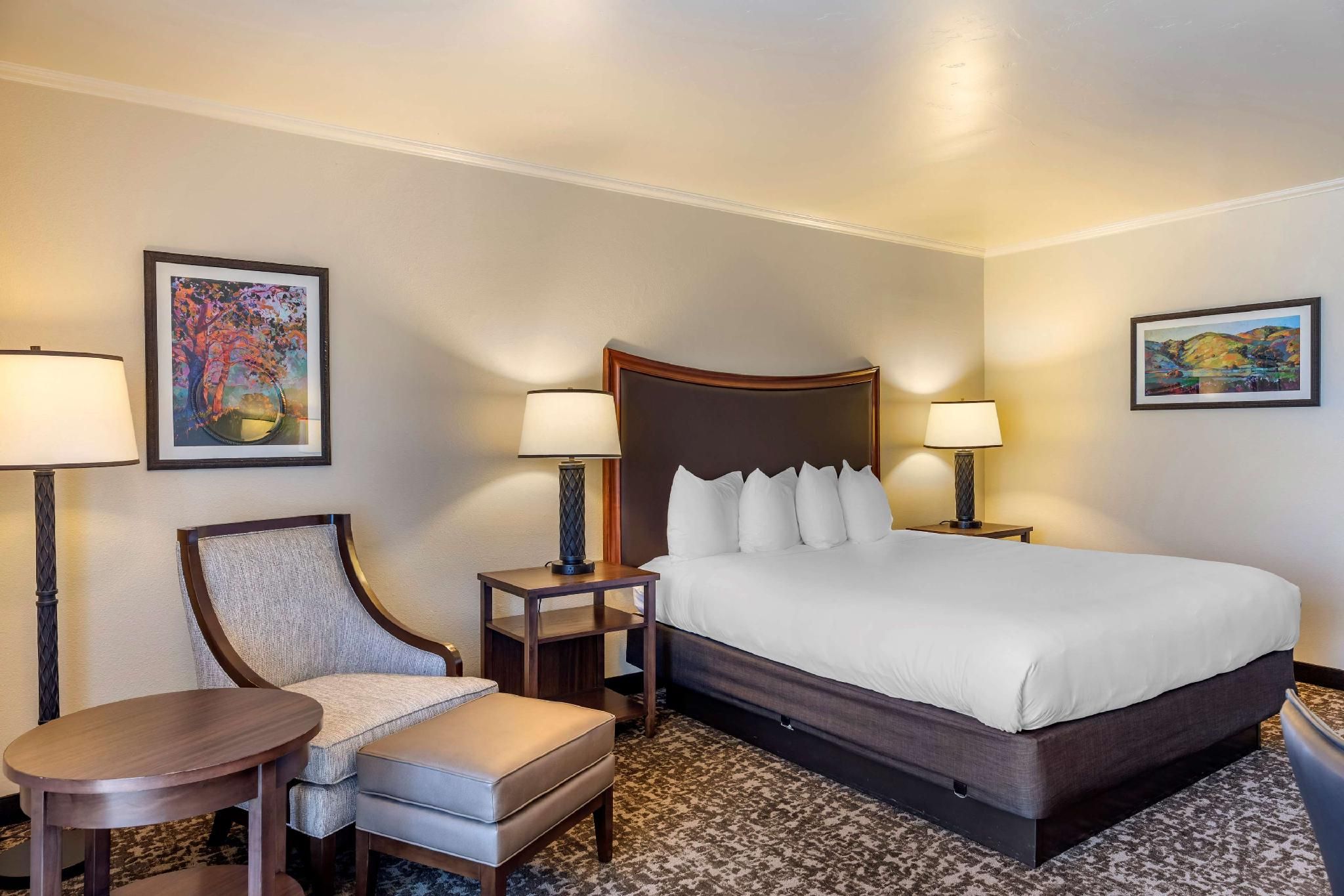 1 QUEEN BED, MOBILITY ACCESSIBLE, ROLL IN SHOWER, Non-smoking, CONTINENTAL BREAKFAST