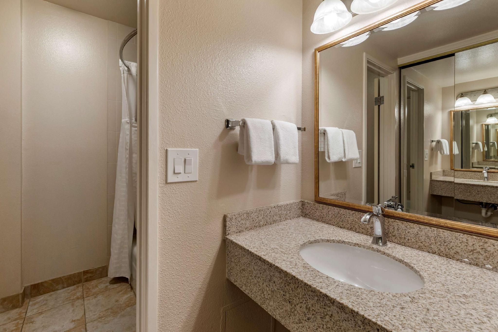 1 King Bed, Non-Smoking, Balcony, High Speed Internet Access, Refrigerator, Coffee Maker, Iron And I