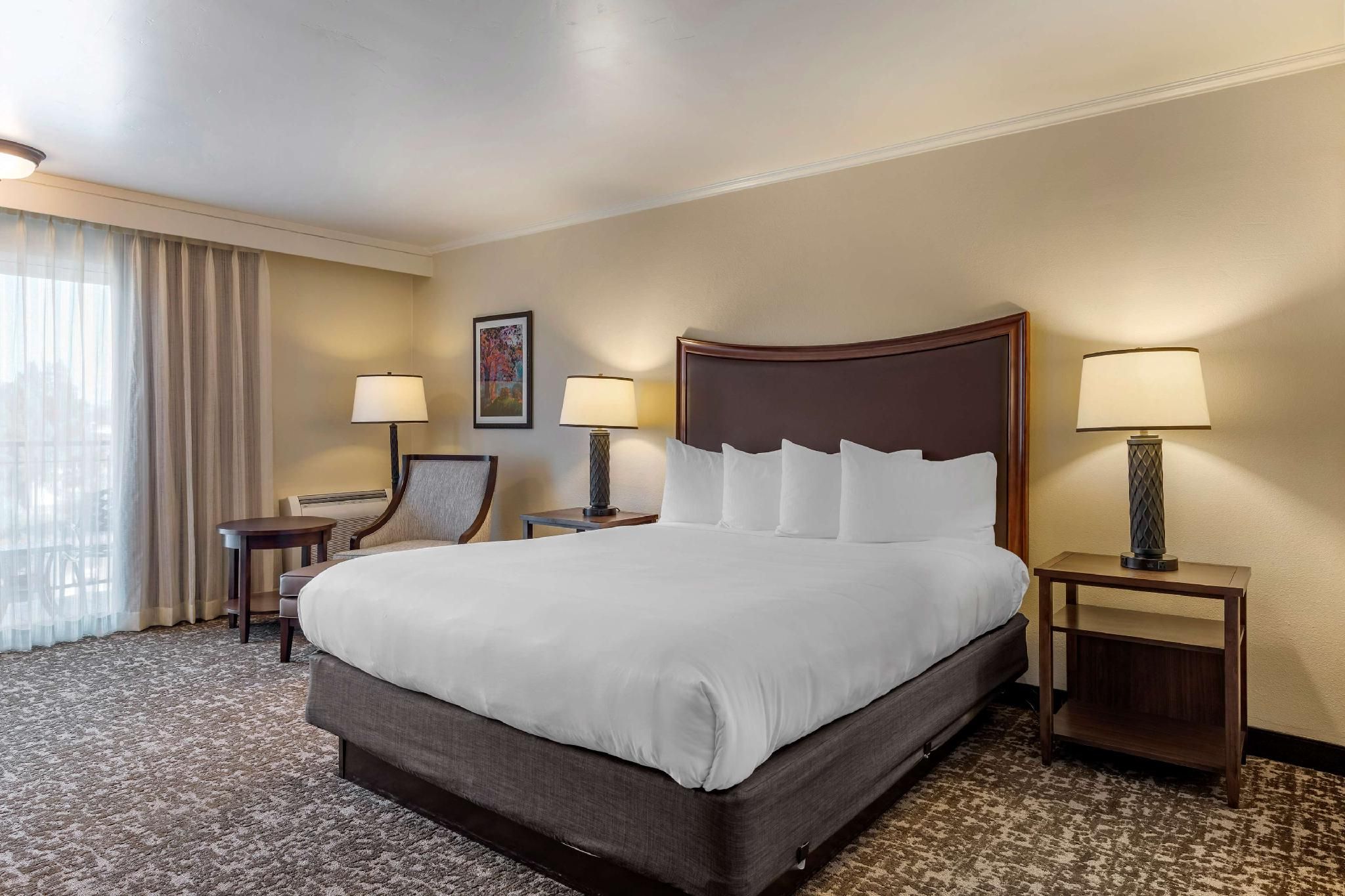 1 QUEEN BED, MOBILITY ACCESSIBLE, ROLL IN SHOWER, Non-smoking, CONTINENTAL BREAKFAST