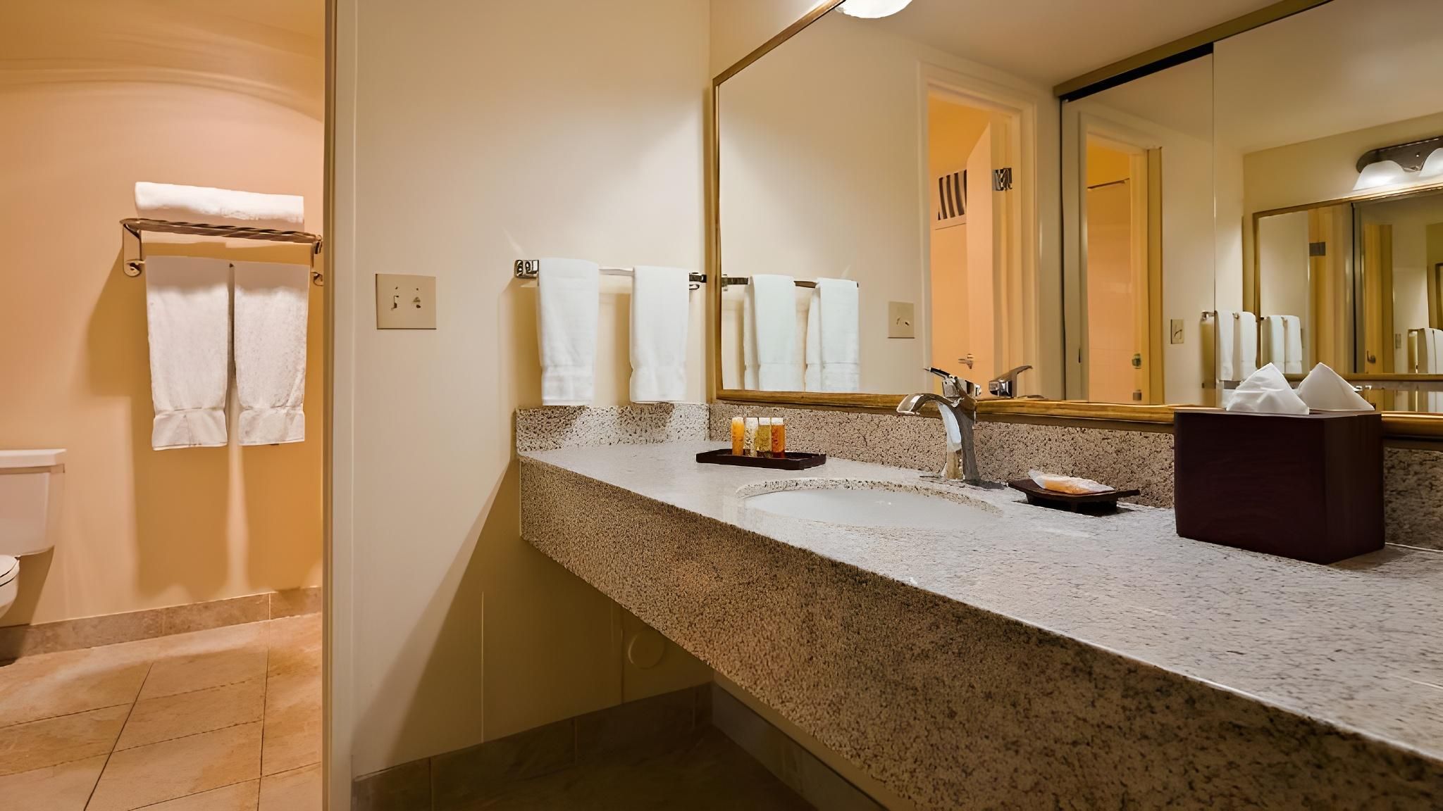 1 King Bed, Non-Smoking, Oversized Room, Balcony, Microwave And Refrigerator, High Speed Internet Ac