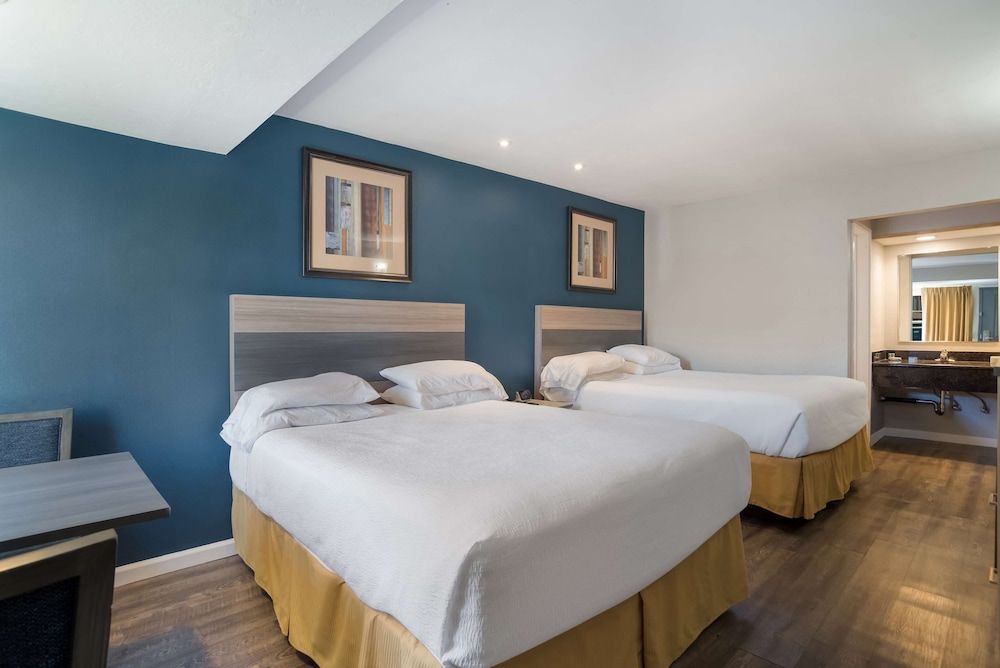 Standard Room, Multiple Beds, Non Smoking, Refrigerator & Microwave (with Sofabed)