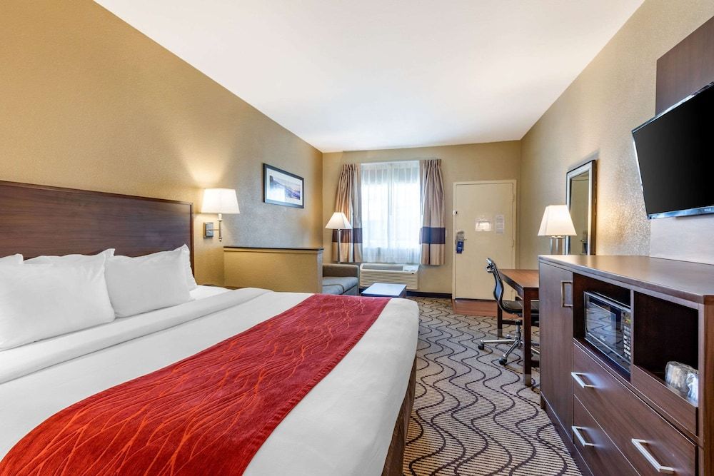 Suite, 1 King Bed with Sofa Bed, Non Smoking