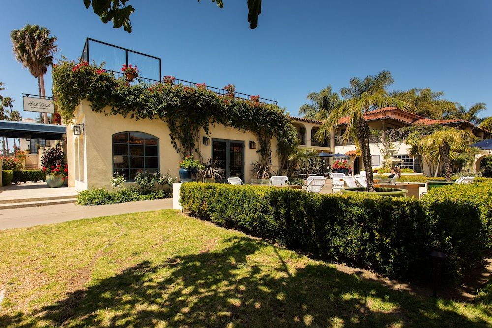 undefined The Milo 6