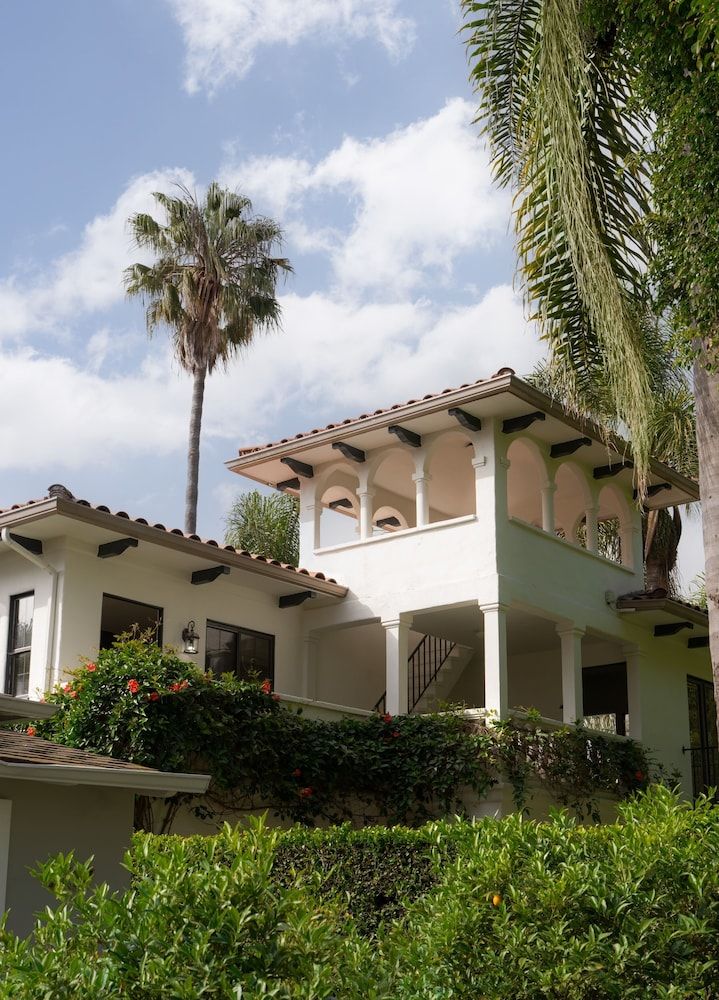 undefined The Milo 4