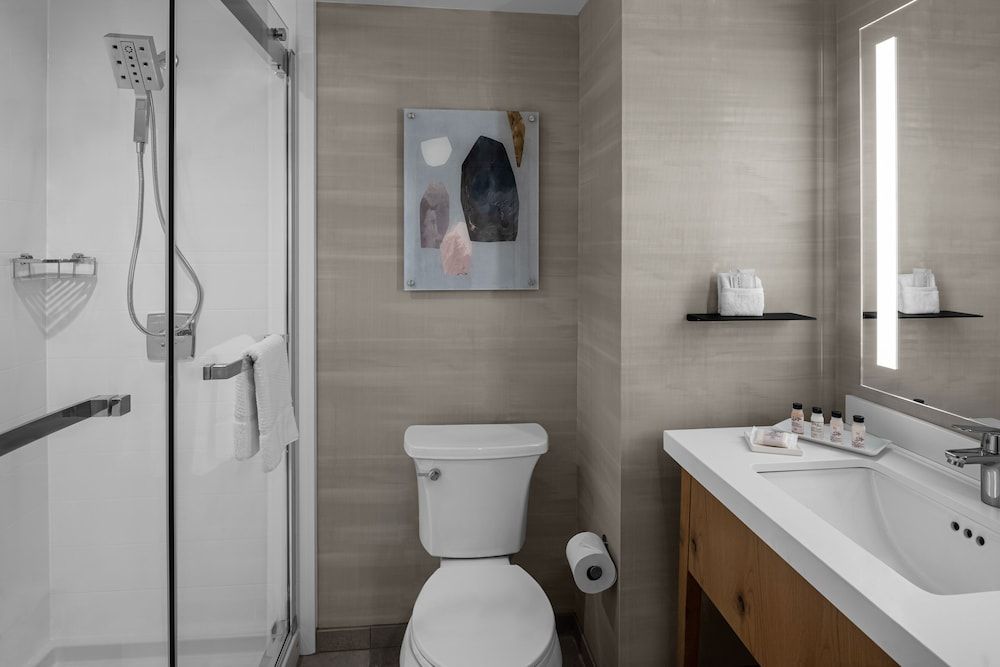 Delta Hotels by Marriott Santa Clara Room, 1 King Bed, High Floor, Exterior Entry (Mobility Accessible, Roll-In Shwr) 3