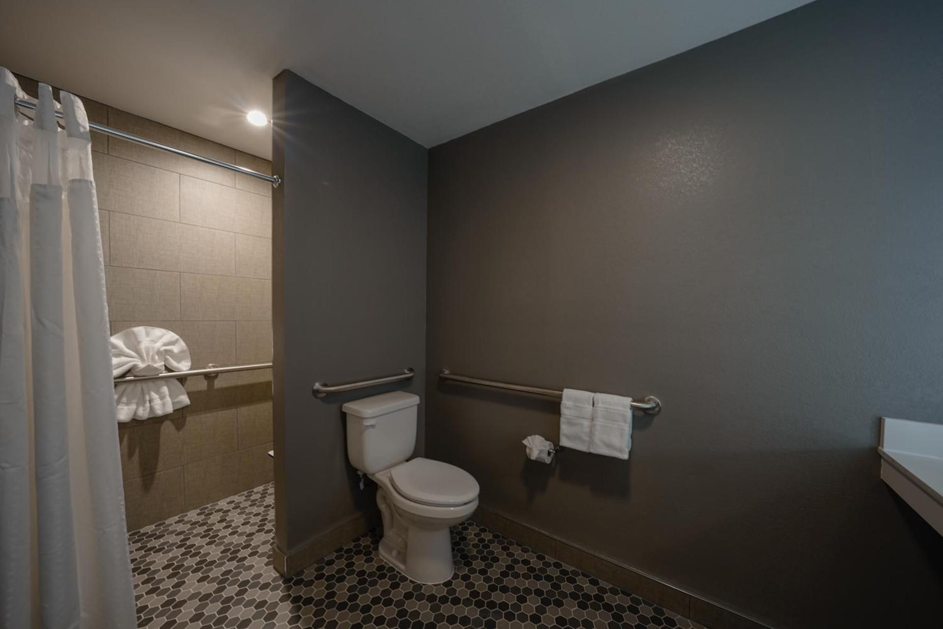 1 King Bed Suite Mobility Accessible Tub