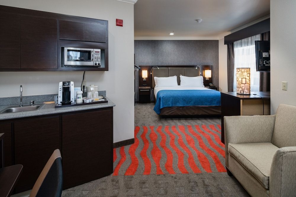 Suite, 1 King Bed