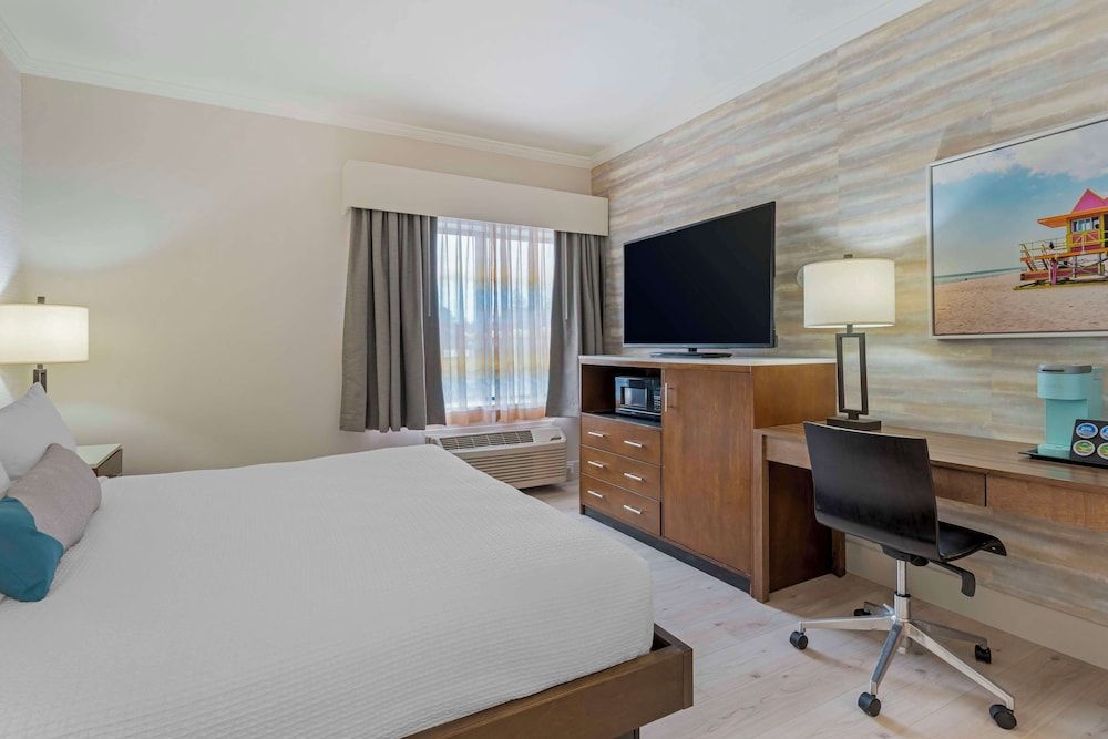 Standard Room, 1 King Bed, Non Smoking, Refrigerator & Microwave