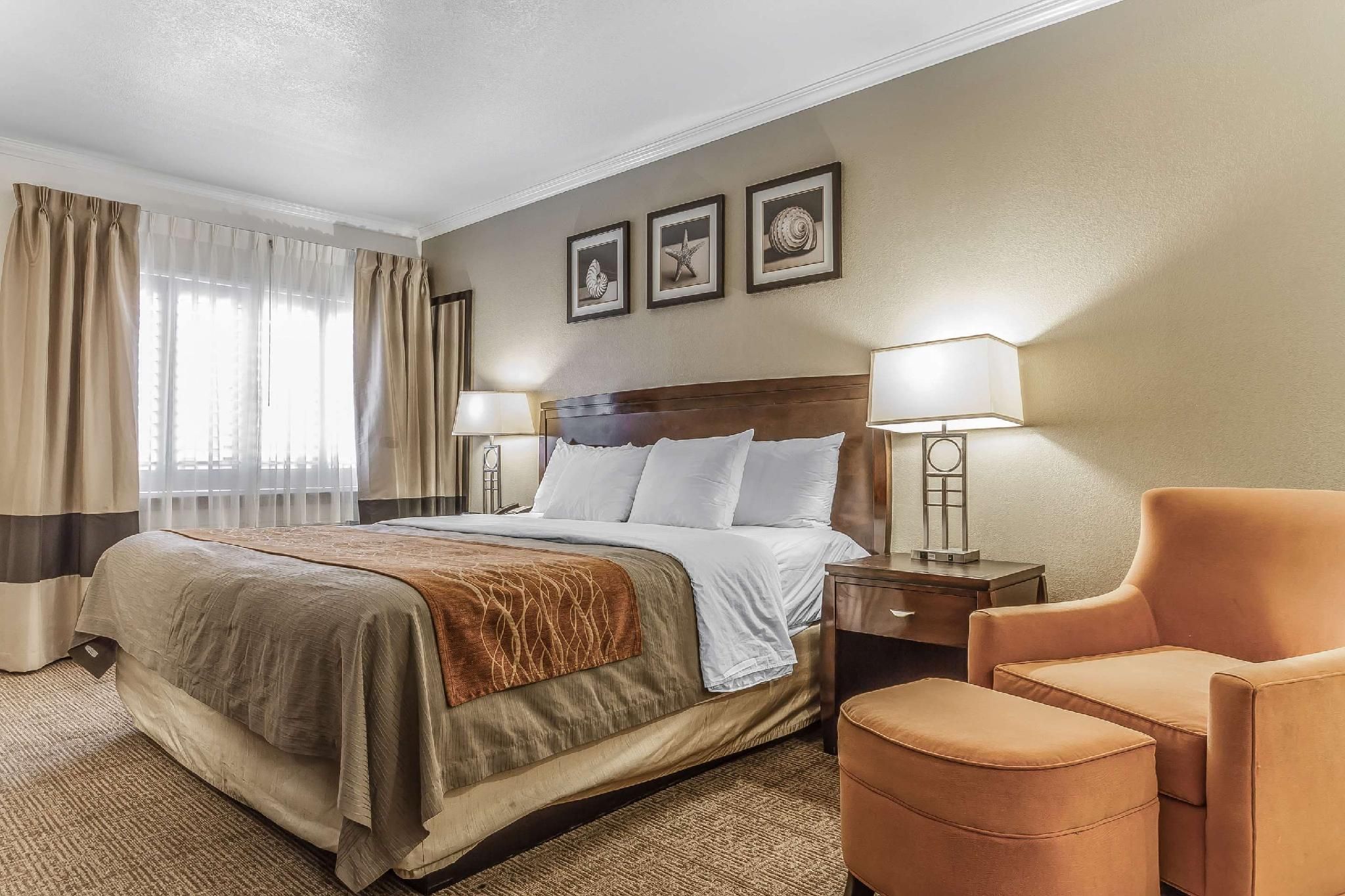 1 King Bed, No Smoking