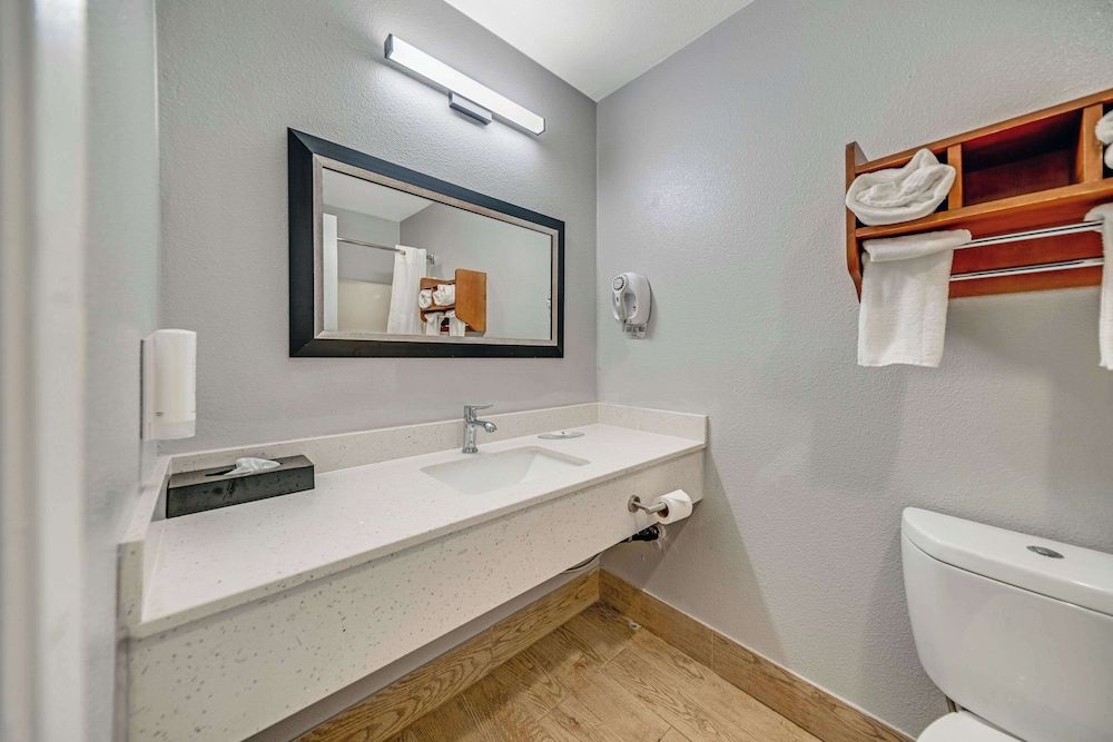 Quality Inn Santa Cruz Downtown Area Standard Room, 1 King Bed, Non Smoking, Patio 3