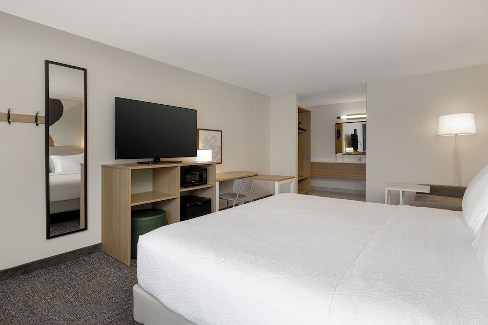 Room, 1 King Bed