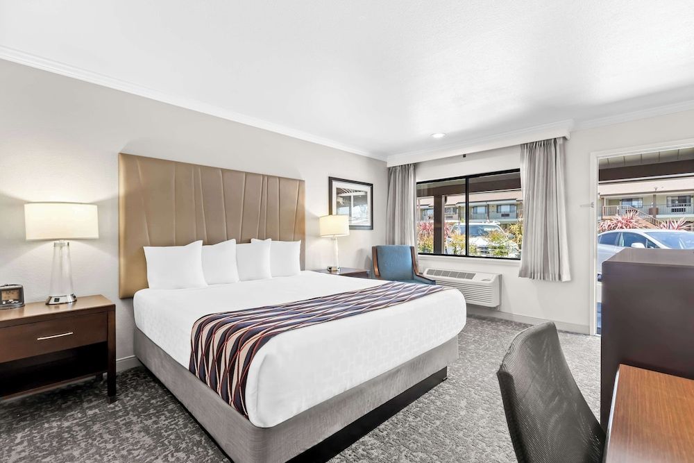 Standard Room, 1 King Bed, Non Smoking, Microwave (Larger Room)