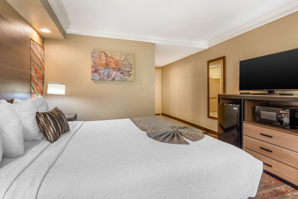 Standard Room, 1 King Bed, Smoking, Refrigerator & Microwave