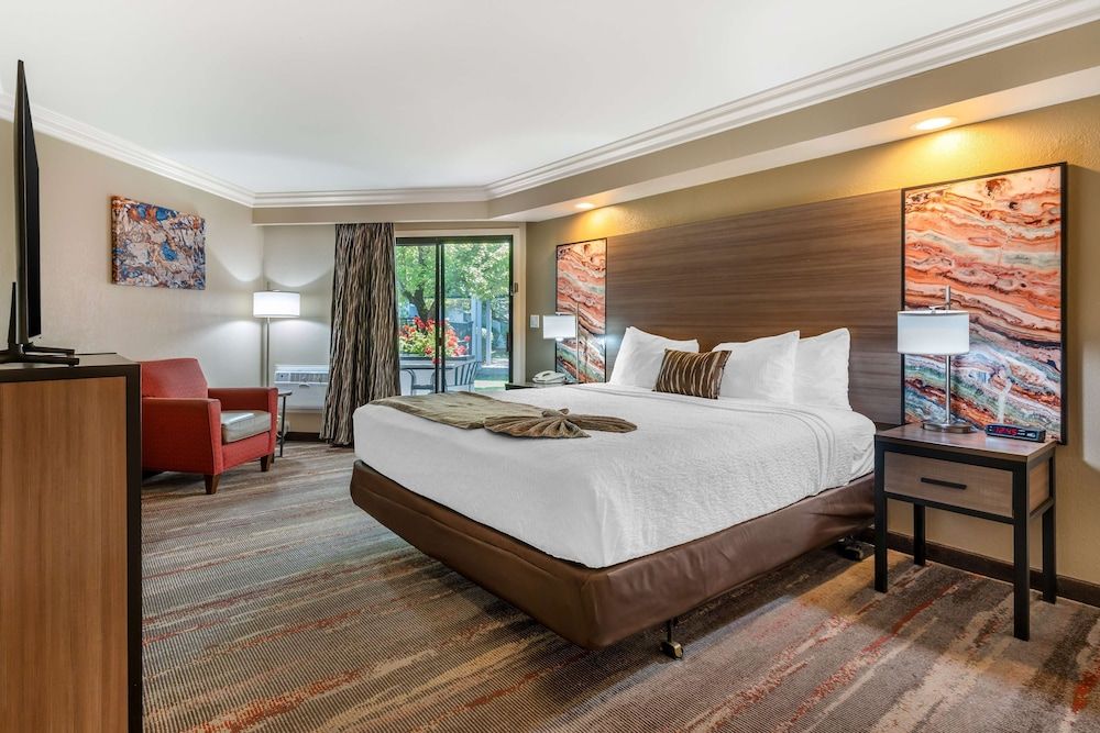 Suite, 1 King Bed, Non Smoking, Jetted Tub (with Sofabed)