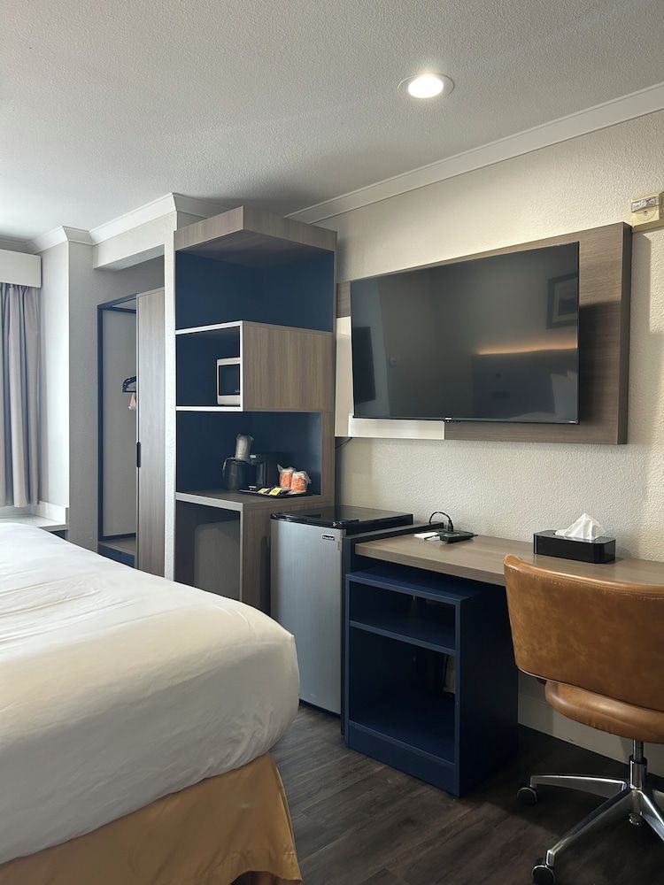 Standard Room, 1 King Bed, Non Smoking