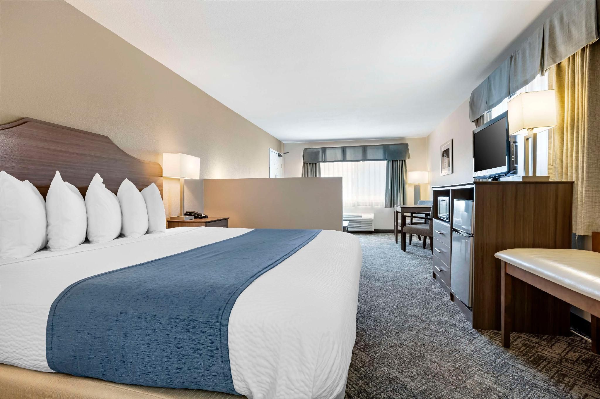 Suite - 1 King Bed, Nonsmoking, Sofabed
