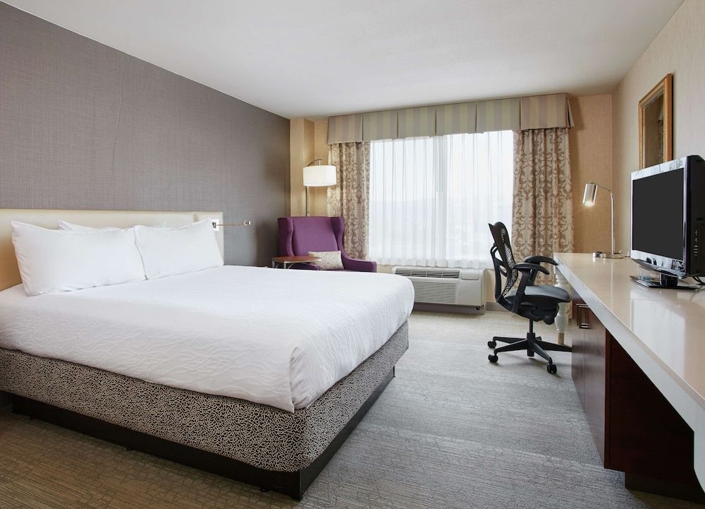 Room, 1 King Bed with Sofa bed