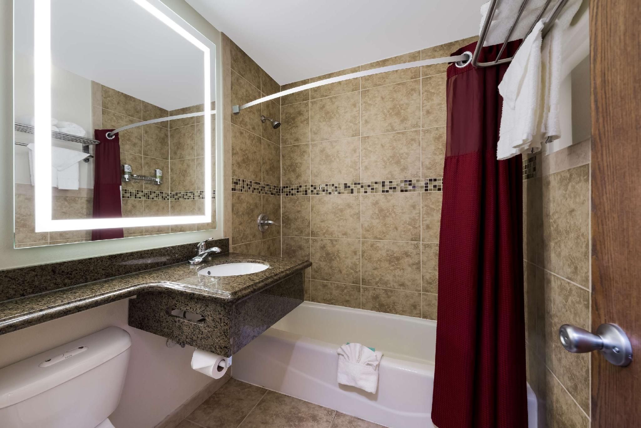 Rodeway Inn South San Francisco Airport 1 King Bed, Nonsmoking 3