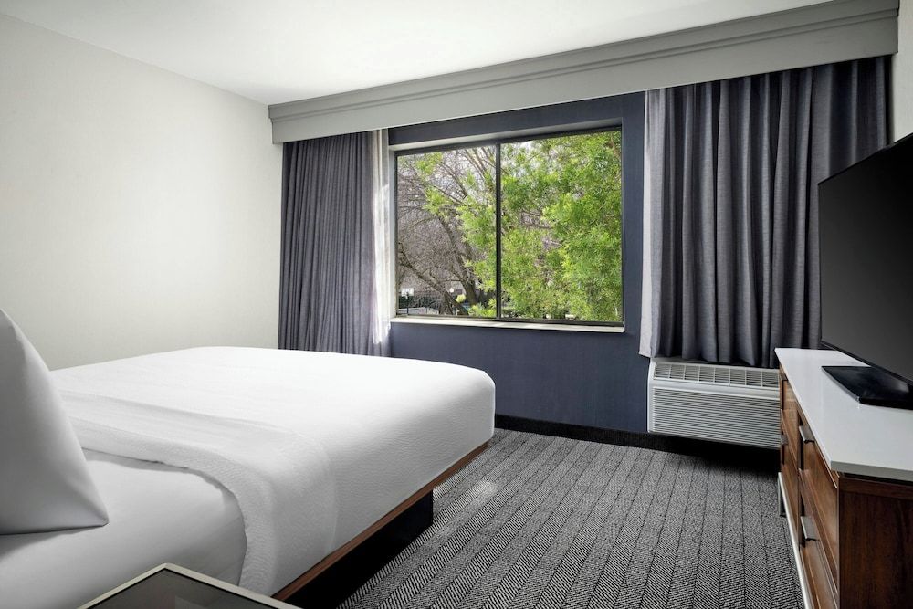 Room, 1 King Bed with Sofa bed (Mobility Accessible, Transfer Shower)