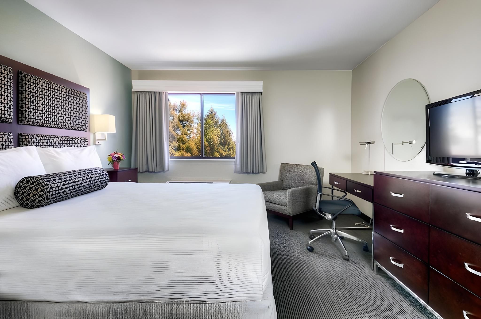 Maple Tree Inn Accessible King