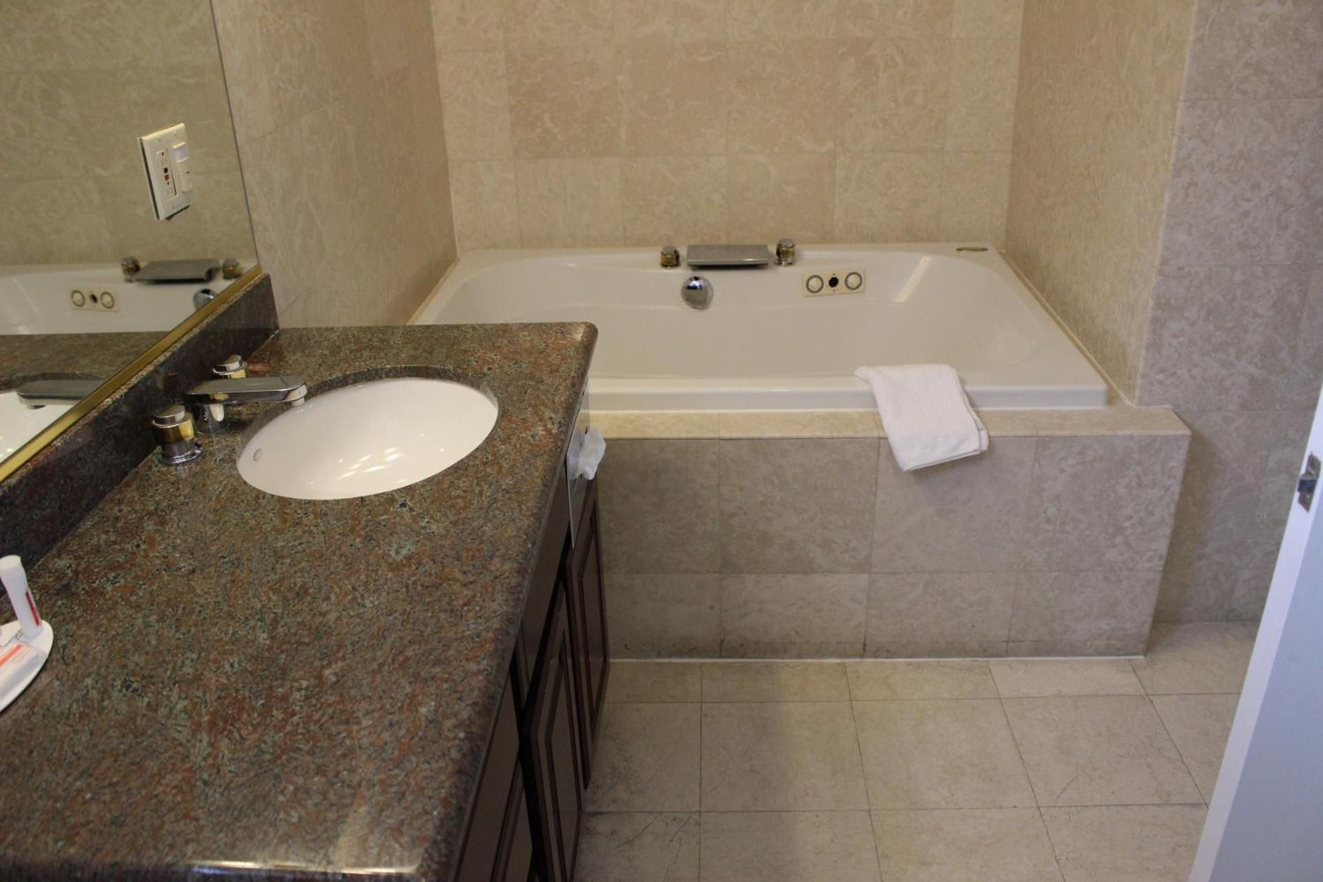 1 King Bed Presidential Suite Non-Smoking