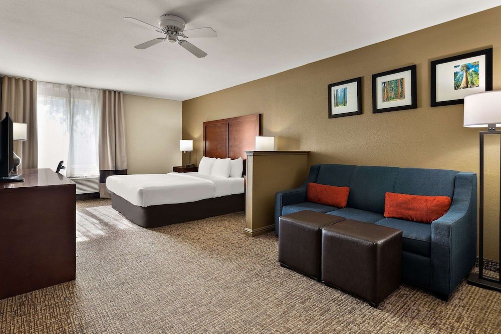 Suite, 1 King Bed with Sofa bed, Accessible, Non Smoking
