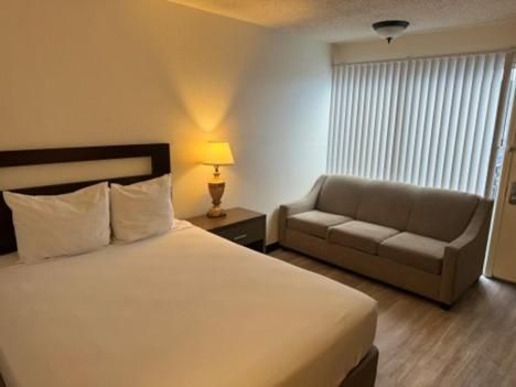 Studio with Sofa Bed