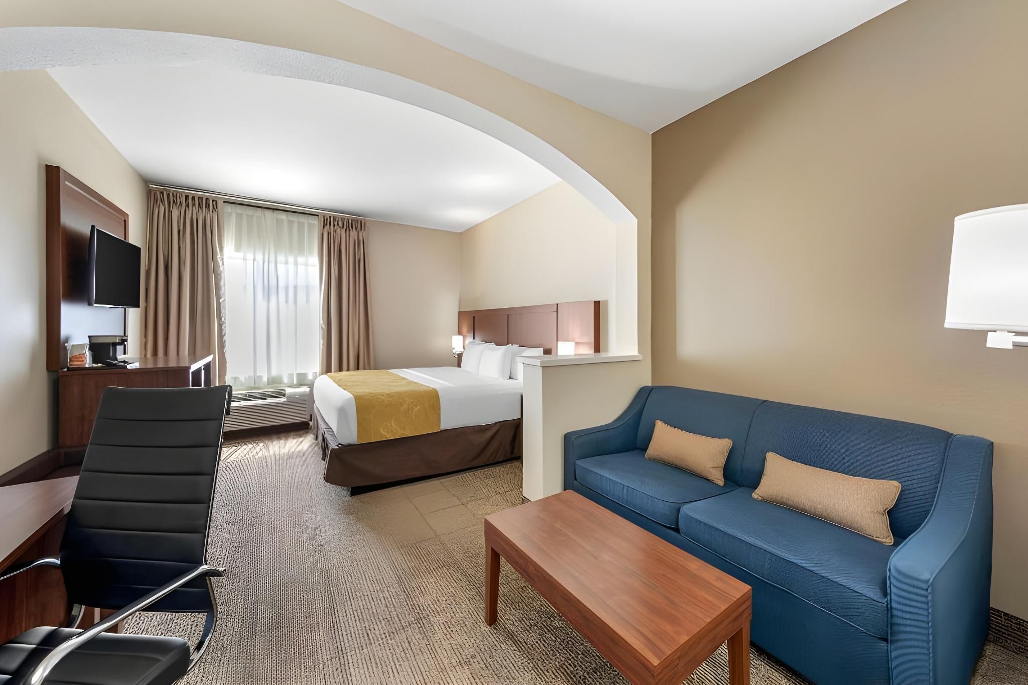 1 King Bed, Suite, Nonsmoking
