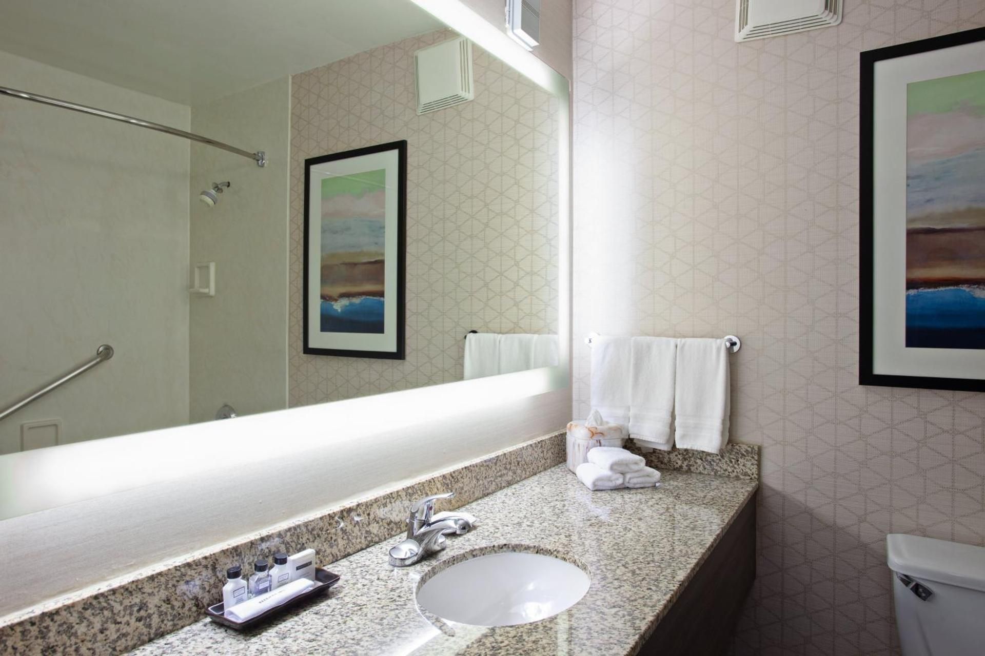 1 King Standard Mobility Accessible Tub