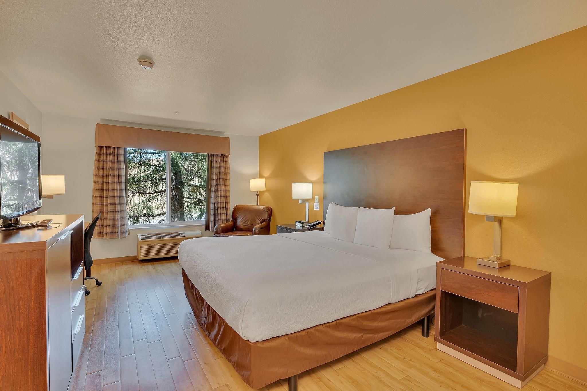 1 King Bed, Nonsmoking