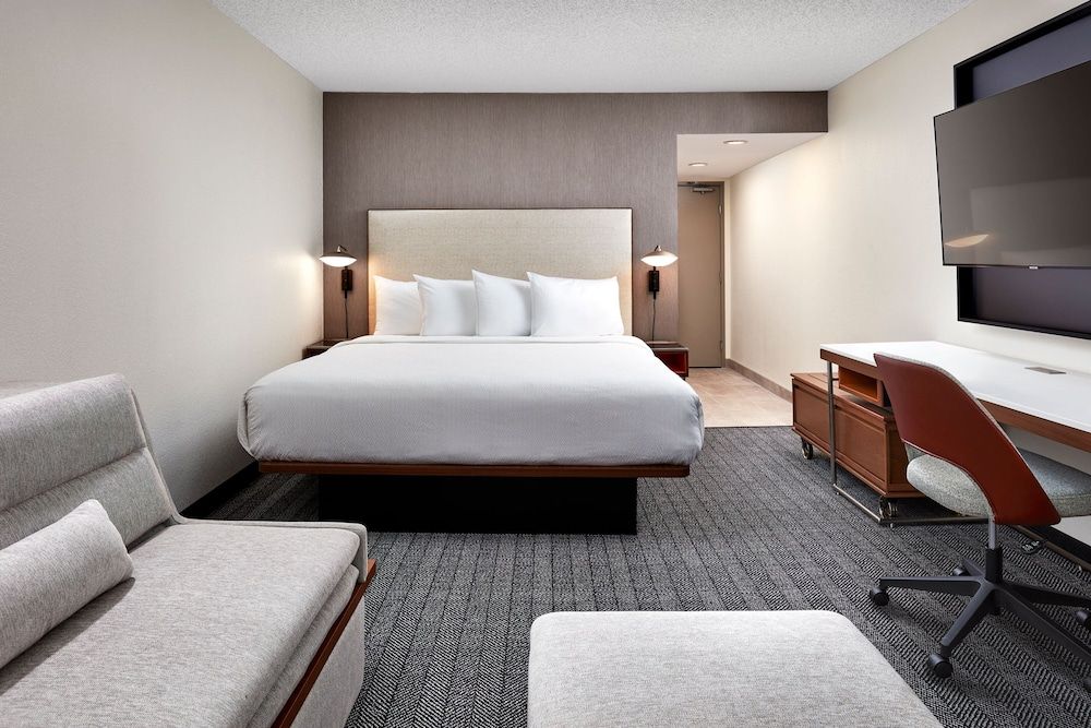 Room, 1 King Bed with Sofa bed (Mobility/Hearing Access, Roll-In Shwr)