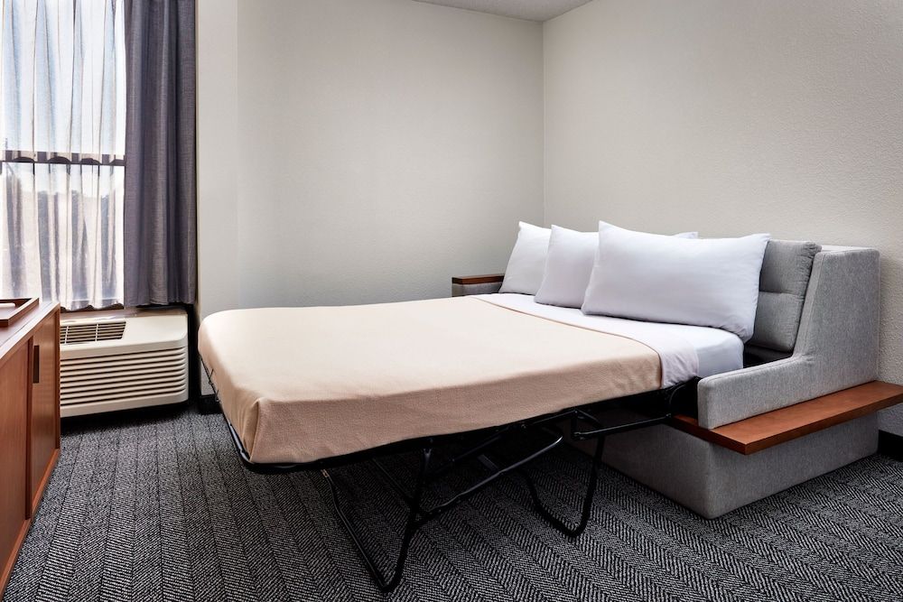 Room, 1 King Bed with Sofa bed (Hearing Accessible)