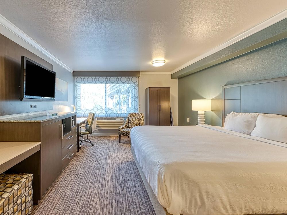 Amanzi Hotel, an Ascend Collection Hotel Standard Room, 1 King Bed, Accessible, Non Smoking (Roll-In Shower) 6