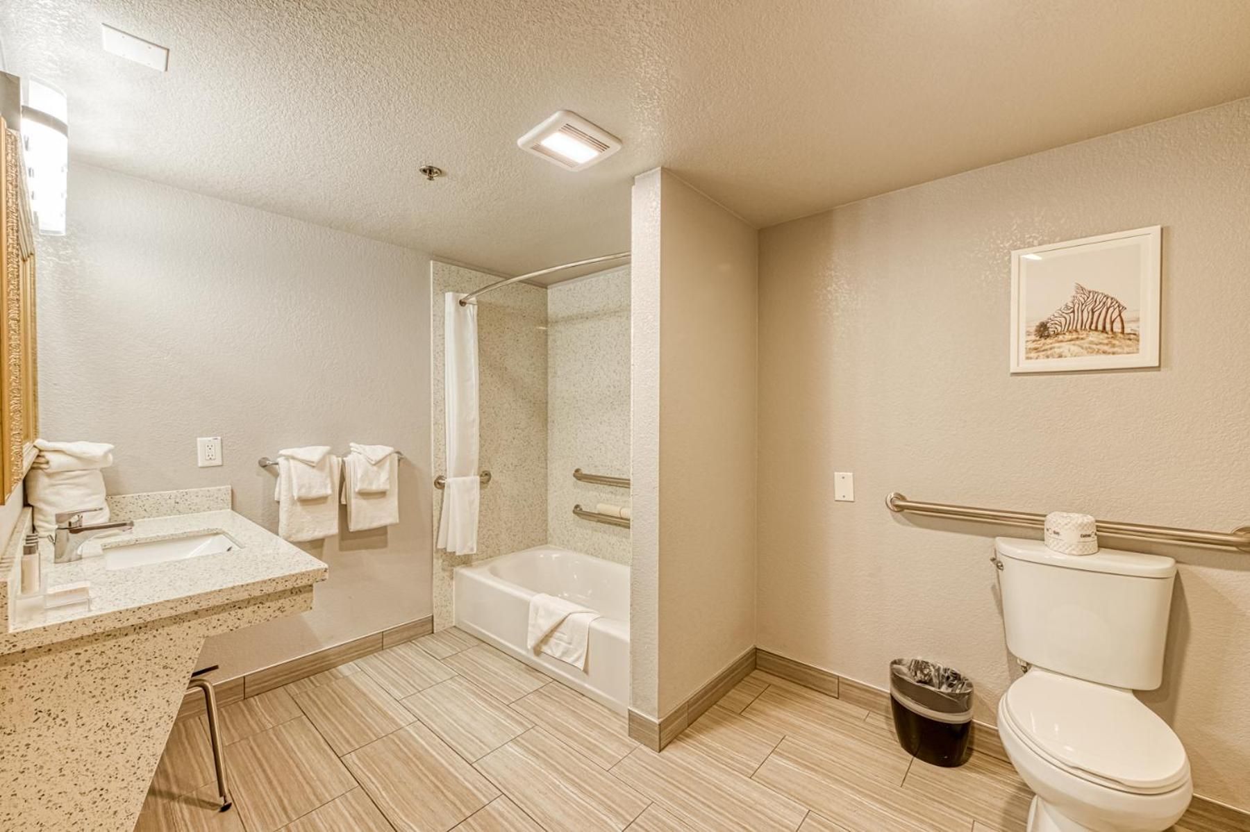 1 King Bed, Nonsmoking, Accessible