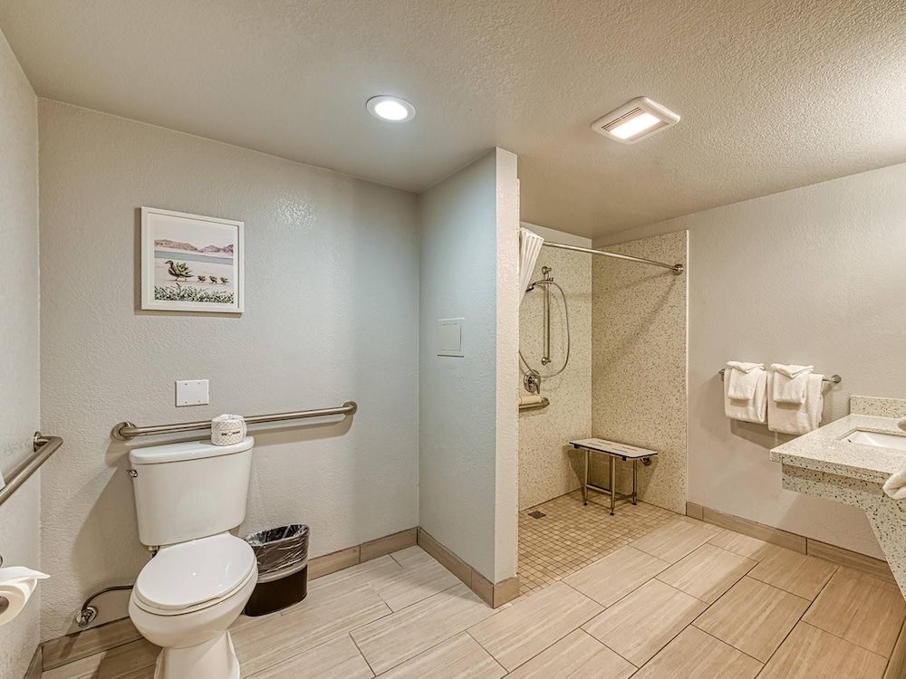 Amanzi Hotel, an Ascend Collection Hotel Standard Room, 1 King Bed, Accessible, Non Smoking (Roll-In Shower) 8