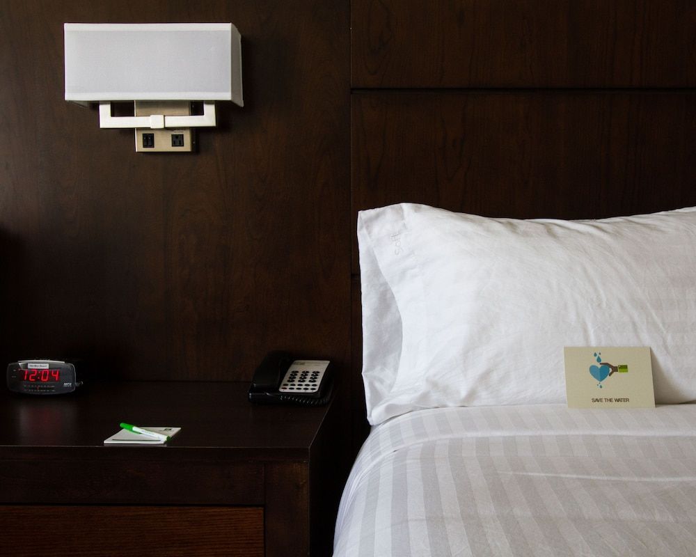 Suite, 1 King Bed with Sofa bed