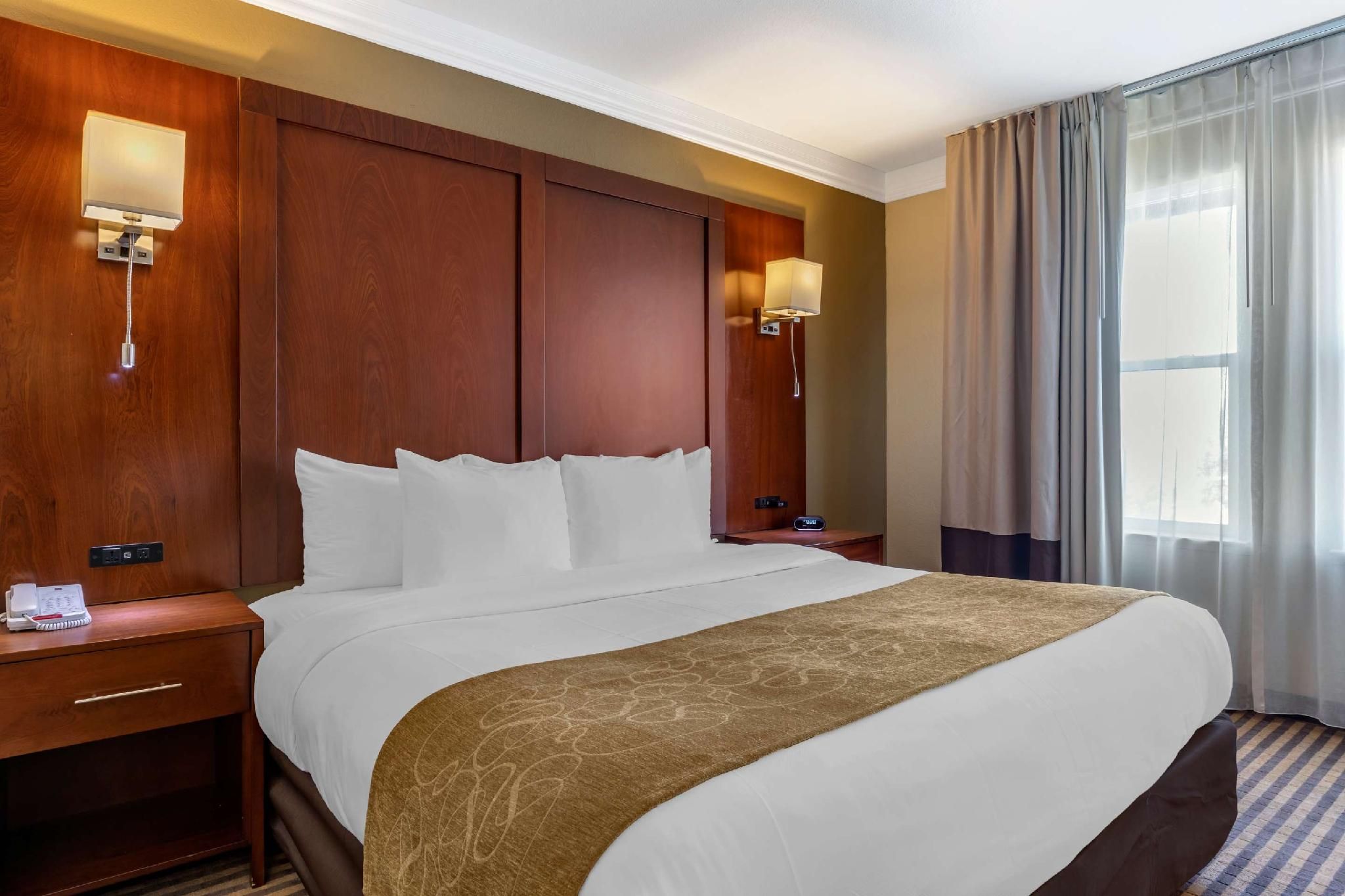 1 Bedroom Suite