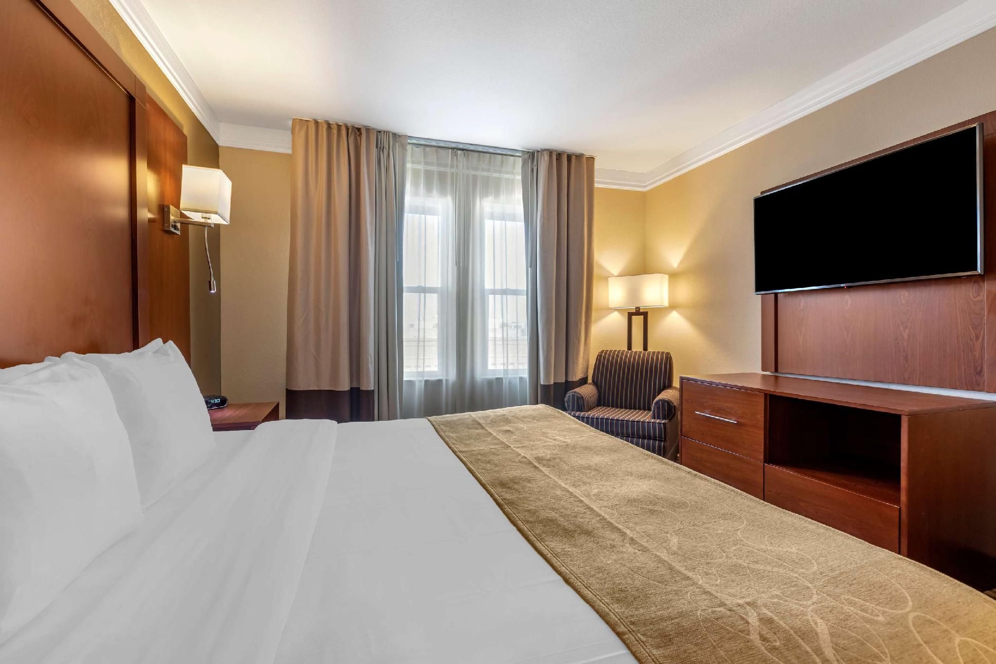 1 Bedroom Suite