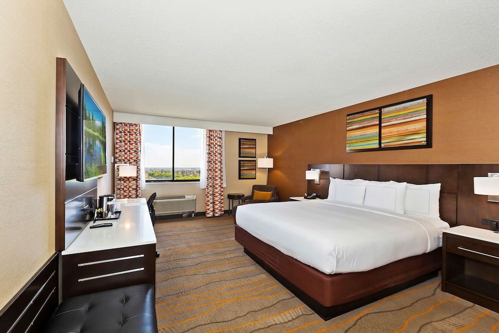 Room, 1 King Bed