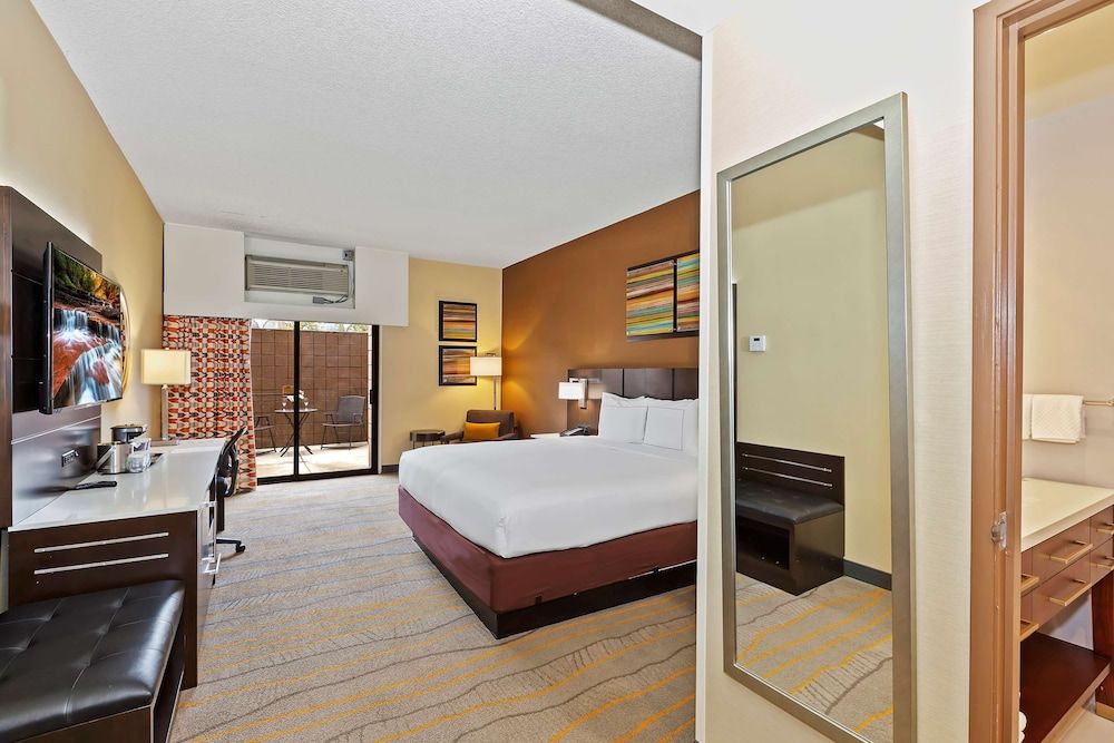 Room, 1 King Bed (Patio)
