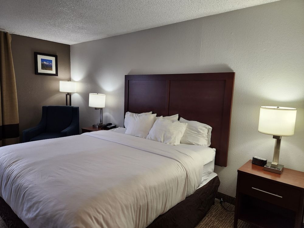 Suite, 1 King Bed, Non Smoking (Upgrade)