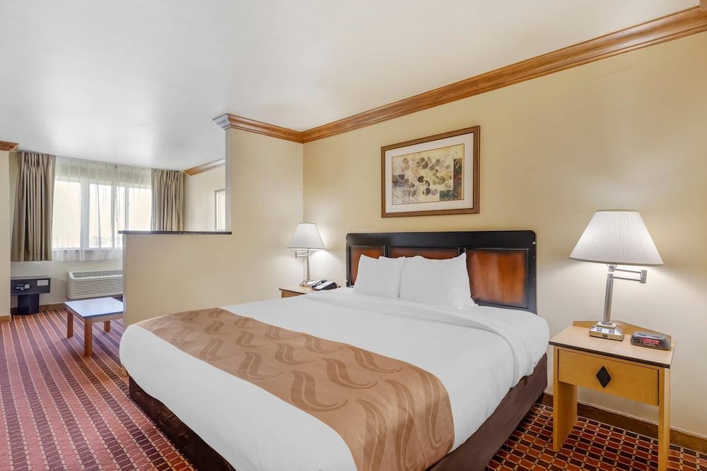 Room, 1 King Bed with Sofa bed