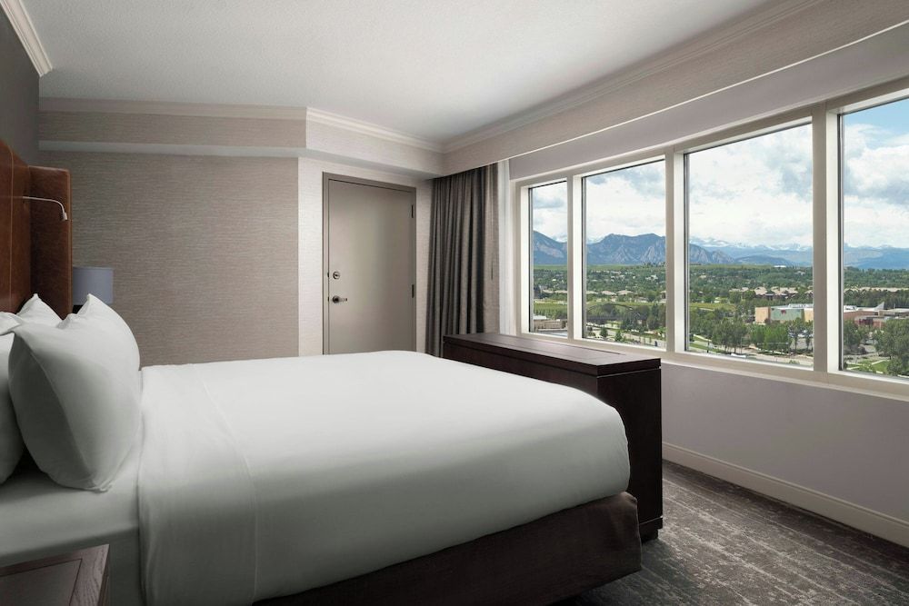 Executive Suite, 1 King Bed with Sofa bed